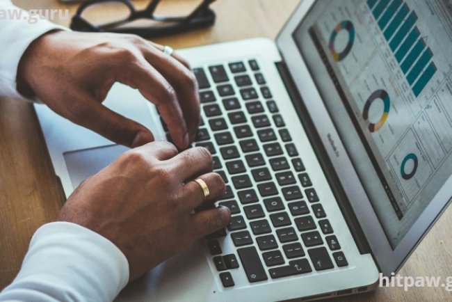 Understanding AI Tool Interfaces for First Time Users