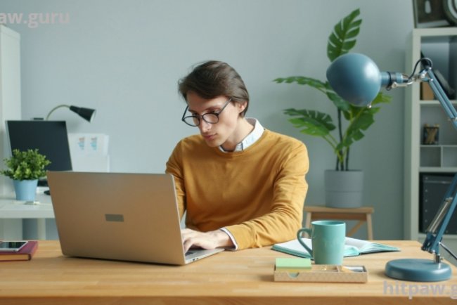 The Evolution of Creative Software Tools