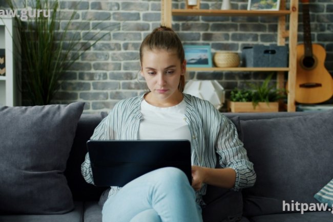 Essential Digital Skills Everyone Should Learn